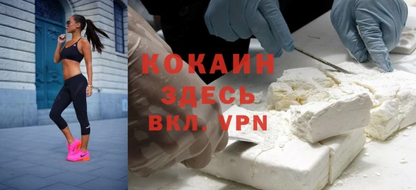 прущие грибы Баксан