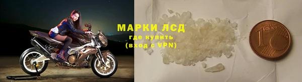 прущие грибы Баксан