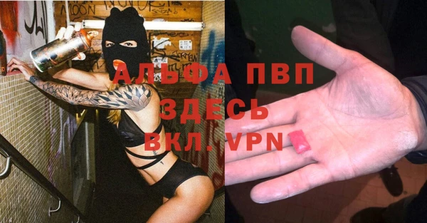 прущие грибы Баксан