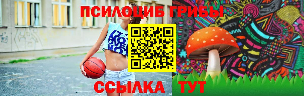 купить  цена  Псилоцибиновые грибы Psilocybine cubensis  Вход с VPN  Ульяновск 